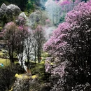 绵阳旅游 缩略图 1
