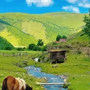 成都旅游 缩略图 2