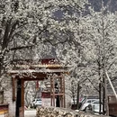 阿坝旅游 缩略图 7