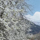阿坝旅游 缩略图 10