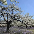 北京旅游 缩略图 2