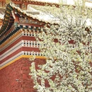 阿坝旅游 缩略图 8