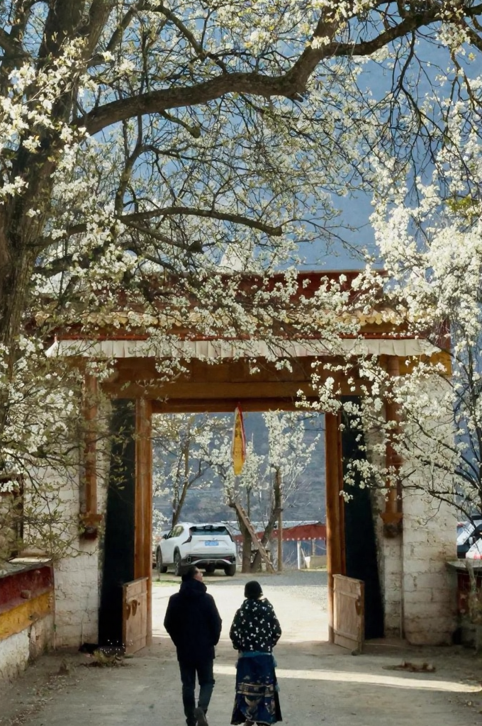 阿坝旅游