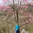 绵阳旅游 缩略图 5