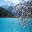 阿坝旅游 缩略图 1
