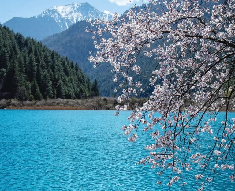 阿坝旅游 1