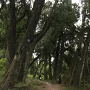 广元旅游 缩略图 9