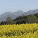 西安旅游 缩略图 7