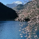 阿坝旅游 缩略图 1