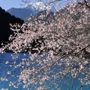 阿坝旅游 缩略图 3