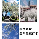 阿坝旅游 缩略图 4