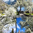 阿坝旅游 缩略图 6