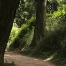 广元旅游 缩略图 5