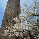 成都旅游 缩略图 7