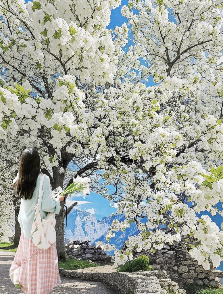 阿坝旅游
