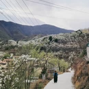 阿坝旅游 缩略图 1
