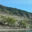 阿坝旅游 缩略图 4