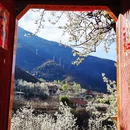 阿坝旅游 缩略图 2