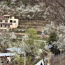 阿坝旅游 缩略图 7