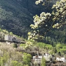 成都旅游 缩略图 10
