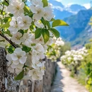 阿坝旅游 缩略图 3
