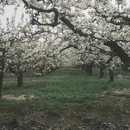 石家庄旅游 缩略图 9