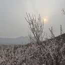 石家庄旅游 缩略图 1