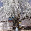 成都旅游 缩略图 5