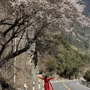 阿坝旅游 缩略图 9
