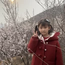 石家庄旅游 缩略图 4