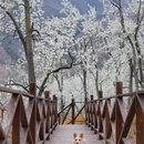 成都旅游 缩略图 8