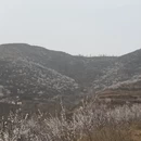 石家庄旅游 缩略图 5