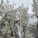 阿坝旅游 缩略图 3