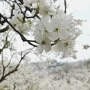 红河旅游 缩略图 8