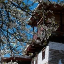 阿坝旅游 缩略图 6