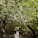 阿坝旅游 缩略图 4