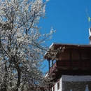 阿坝旅游 缩略图 7