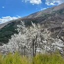 成都旅游 缩略图 17
