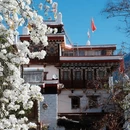 阿坝旅游 缩略图 10