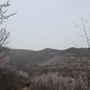 石家庄旅游 缩略图 7