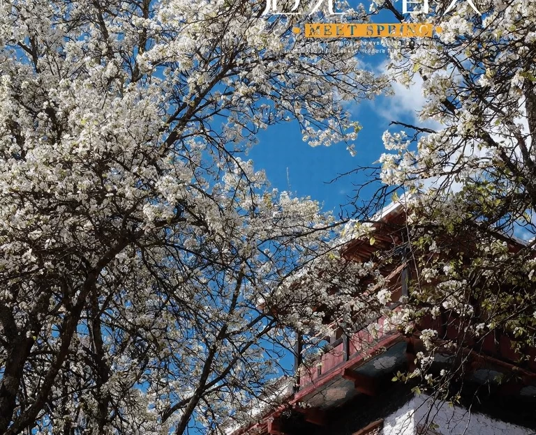 阿坝旅游 1