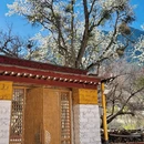 成都旅游 缩略图 11