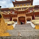 成都旅游 缩略图 14