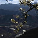 阿坝旅游 缩略图 7