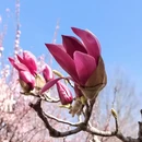 石家庄旅游 缩略图 9