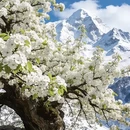 阿坝旅游 缩略图 2