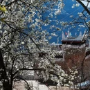 阿坝旅游 缩略图 15