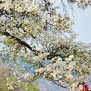 阿坝旅游 缩略图 11