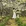 成都