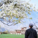 阿坝旅游 缩略图 12